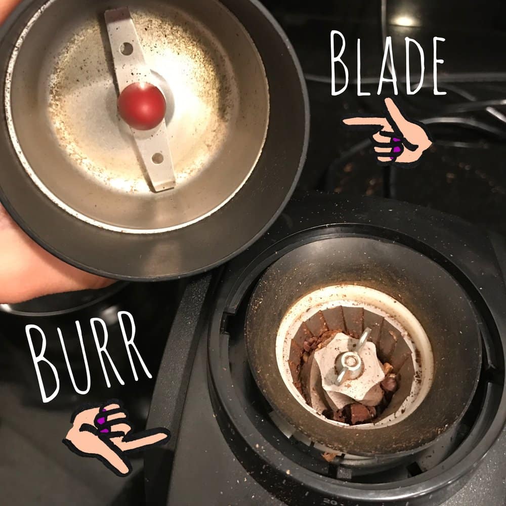 blade or burr coffee grinder to choose2