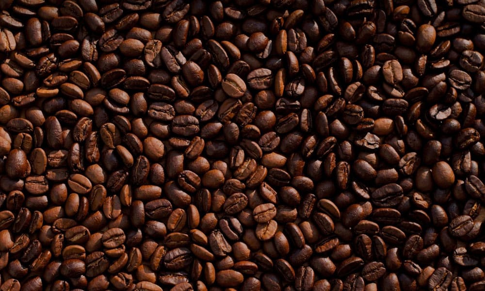 costa rica roasted coffee beans