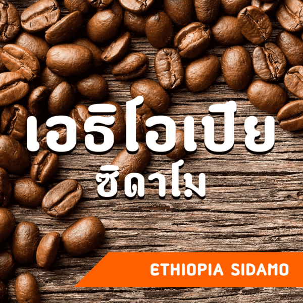 เมล็ดกาแฟ เอธิโอเปีย ซิดาโม