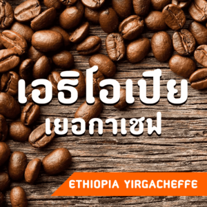 เมล็ดกาแฟ เอธิโอเปีย เยอกาเชฟ