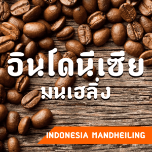 กาแฟแมนเฮลิ่ง อินโดนีเซีย สุมาตรา