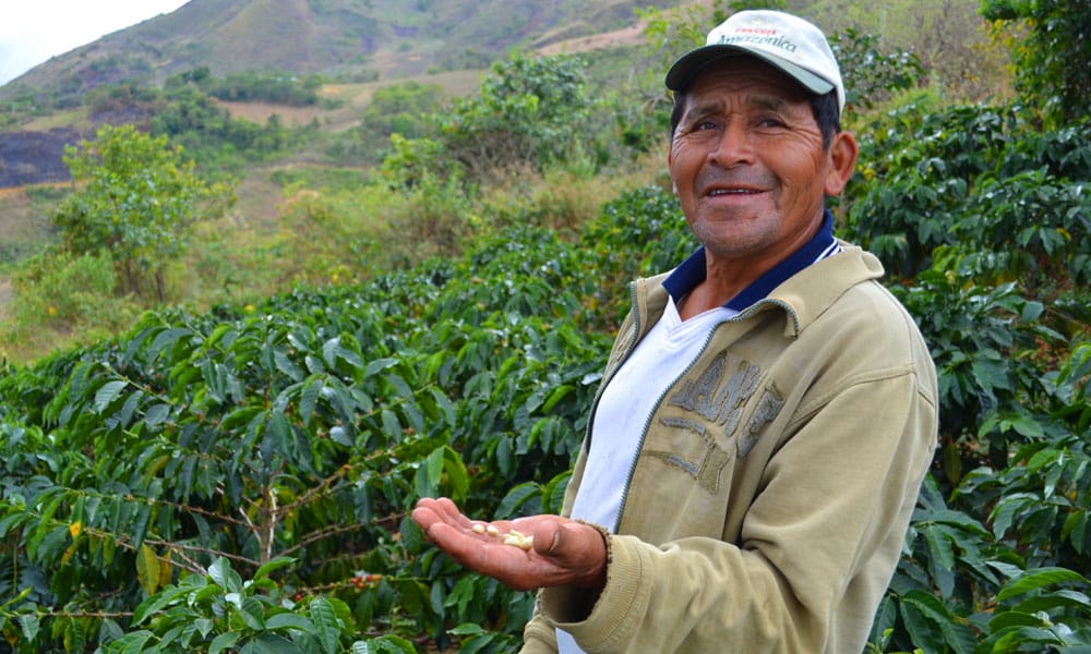 peruvian green coffee beans