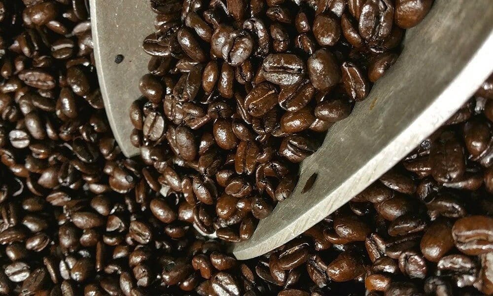 ugandian robusta roasted coffee beans