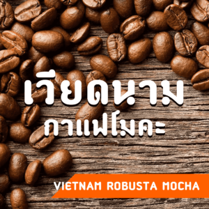 กาแฟเวียดนาม Vietnam Robusta Mocha coffee beans. กาแฟโมคะ