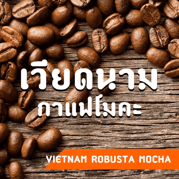 กาแฟเวียดนาม Vietnam Robusta Mocha coffee beans. กาแฟโมคะ